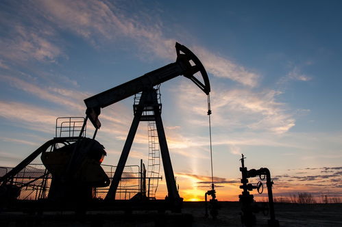 俄副總理透露歐佩克+將在12月前維持自愿減產，天然氣儲運成能源市場關鍵議題